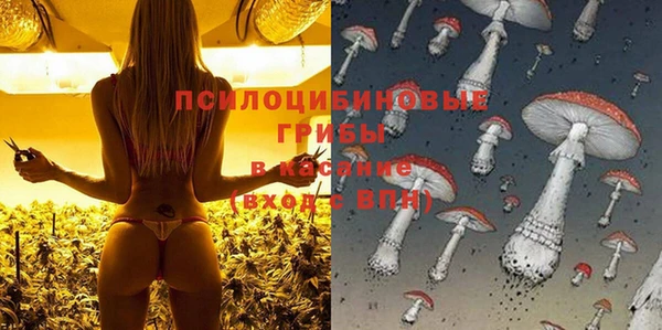 альфа пвп Гусиноозёрск