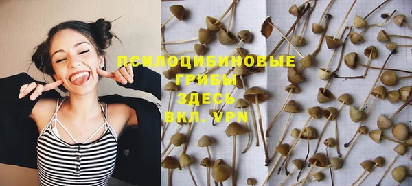 дживик Магадан