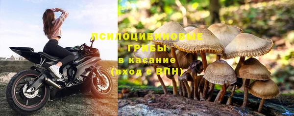 прущая мука Мегион