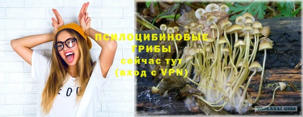 амф Медногорск