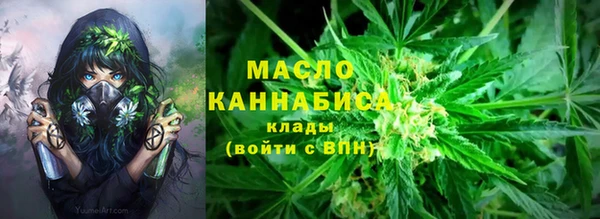 амф Медногорск